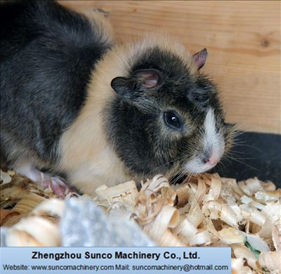 wood shavings as animal bedding