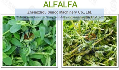 Alfalfa Dryer Machine for hay drying