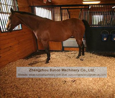 Dried Pine Wood Shavings for horse bedding